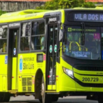 Rei de França e Grapiúna deixam de operar em 9 linhas da Grande Ilha