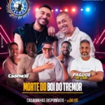 Morte do Boi do Tremor promete reunir tradição e muito pagode em São José de Ribamar