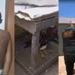 Três homens são presos e 36 aves são apreendidas durante ação contra rinha de galo em Timon
